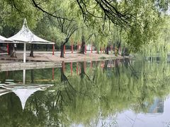 -青城公园