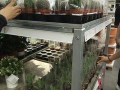 -宜家家居(哈尔滨商场店)