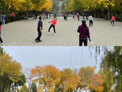 -玲珑塔公园