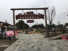-田园东方蜜桃村的田野营地
