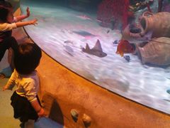 -沈阳海洋探索中心