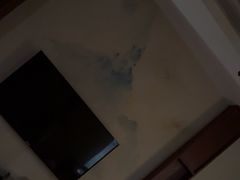 -鼎族怡华·指压·经络·疗愈SPA(紫荆店)