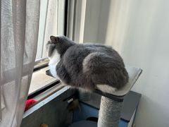 -不作·手工银饰DIY(西红门店)