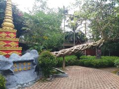 -瑞丽独树成林风景区