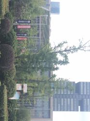 -贵阳国际生态会议宴会中心