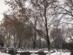 -康庄公园