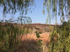 -锦屏山旅游度假区