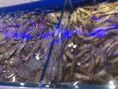 -澜悦港海鲜体验主题餐厅