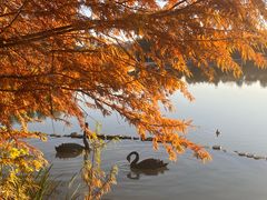 -浙江农林大学(东湖校区)