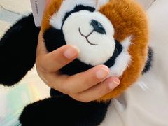 -淄博义乌小商品城2期