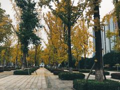 -百林公园-两江幸福广场