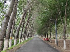-东郊湿地公园