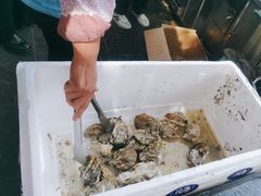 -尚庄度假村·庭台树下·户外烧烤·团建CS·轰趴营地(上庄水库店)