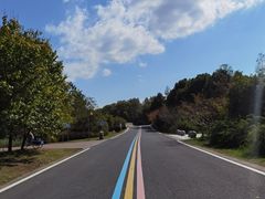 -同里国家湿地公园