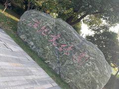 -长兴太湖图影湿地文化园