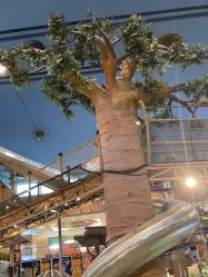 -卡通尼·Safari非洲探索乐园·生日会(金桥国际商业广场店)