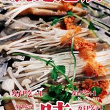 鲜鲜鲜，小鲜岛[加油]