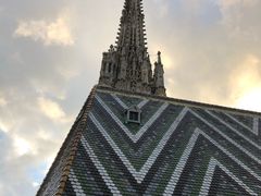 -斯蒂芬主教座堂(Stephansdom)