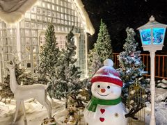 -洛阳白云山景区