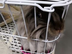 -UltraForce超源健身私教工作室(长楹天街精品店)