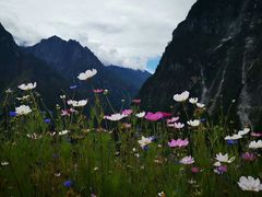 -香格里拉大峡谷巴拉格宗国家级风景名胜区丽江中旅旅游质量服务点