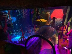 -沈阳海洋探索中心