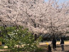 -博雅酒店-中餐厅