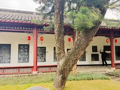 -柳侯公园