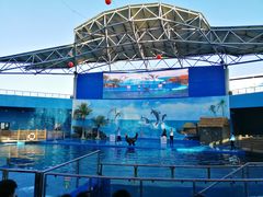 -石林冰雪海洋世界