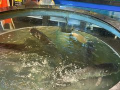 -聚鑫阁江浙菜·非遗传承技艺(青村帝华园店)