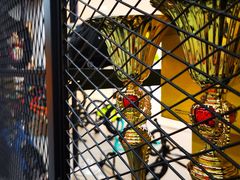 -Kiddo趣多儿童滑步车骑行会(宏泰广场店)