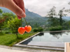 -青城山