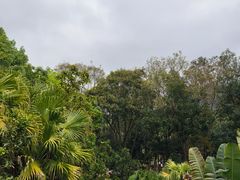 -深圳仙湖植物园
