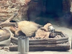 -石家庄市动物园