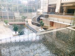 -上海外滩茂悦大酒店