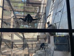 -昆明动物园