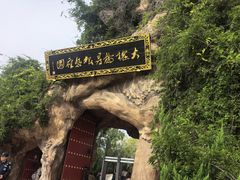 -大槐树寻根祭祖园