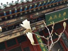 -迎泽公园