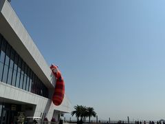 -野狸岛
