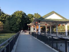 -荔湾湖公园