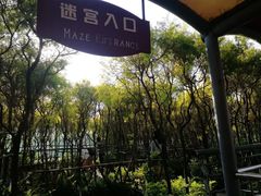 -东部华侨城