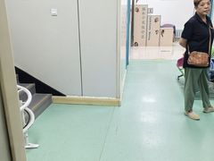 -北京观赏动物医院·24小时大型综合·猫专科·异宠专科