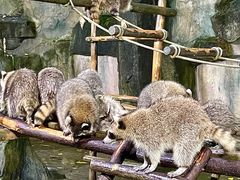 -杭州野生动物世界