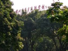 -广州市越秀区育才实验学校