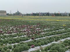 -中国天府农业博览园