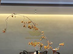 -大可堂普洱茶馆(襄阳南路馆)