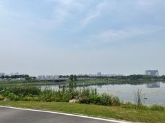 -金银湖国家城市湿地公园