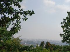 -火炉山森林公园