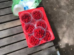 -帽儿山国家森林公园