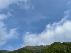 -王顺山国家森林公园